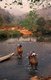Thailand: Elephants crossing the River Pai early in the morning, just south of Mae Hong Son, northern Thailand